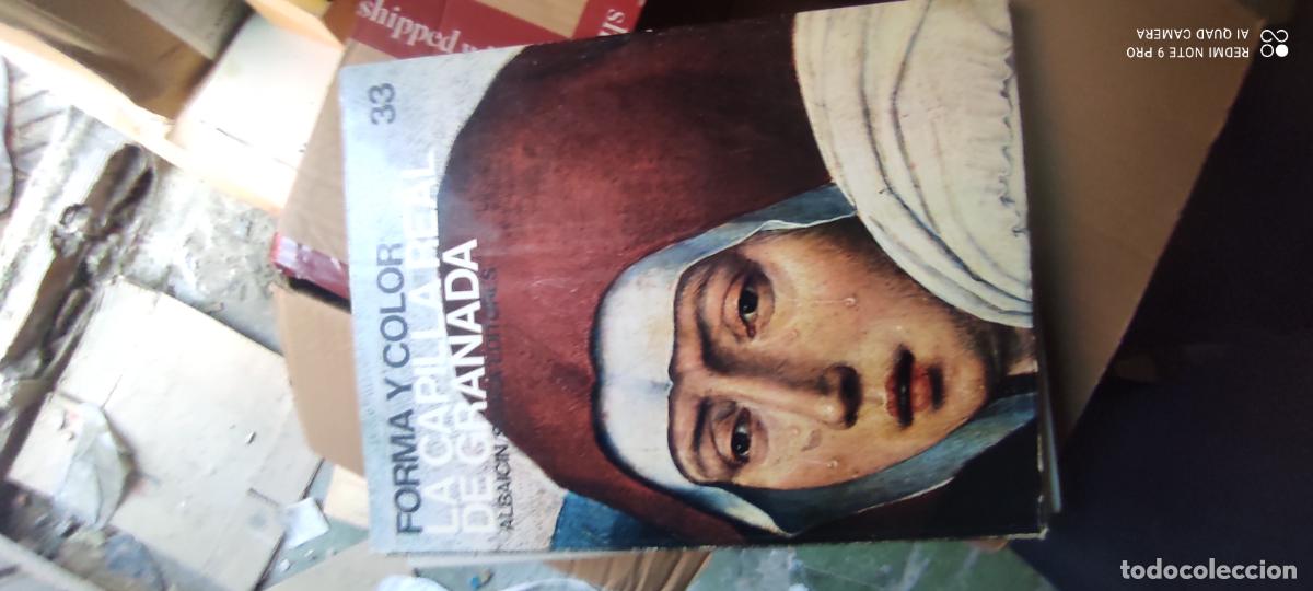 Libros de segunda mano: FORMA Y COLOR (NUMERO 33) LA CAPILLA REAL DE GRANADA l