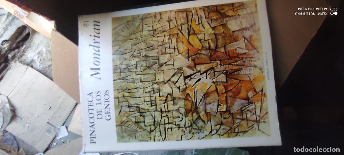 Libros de segunda mano: Pinacoteca de los genios. Mondrian. Num. 61.