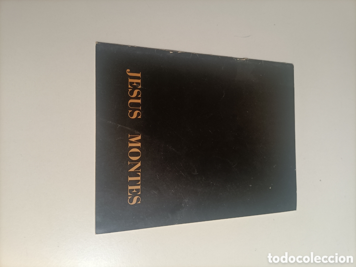 Libros de segunda mano: Jes&uacute;s Montes. Galer&iacute;a Sokoa Madrid 1982
