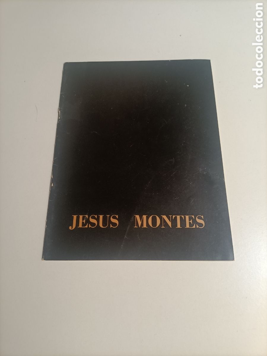 Libros de segunda mano: Jes&uacute;s Montes. Galer&iacute;a Sokoa Madrid 1982
