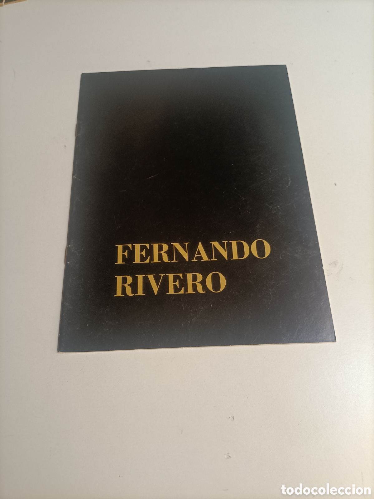 Libros de segunda mano: Fernando Rivero. Galer&iacute;a de artes Sokoa madrid diciembre 1984 enero 1985
