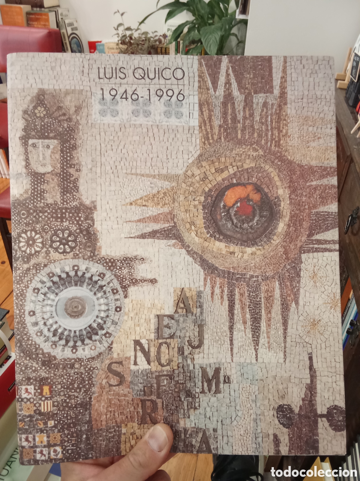 Libros de segunda mano: Luis Quico 1946-1996 - Diputaci&oacute;n de Zamora