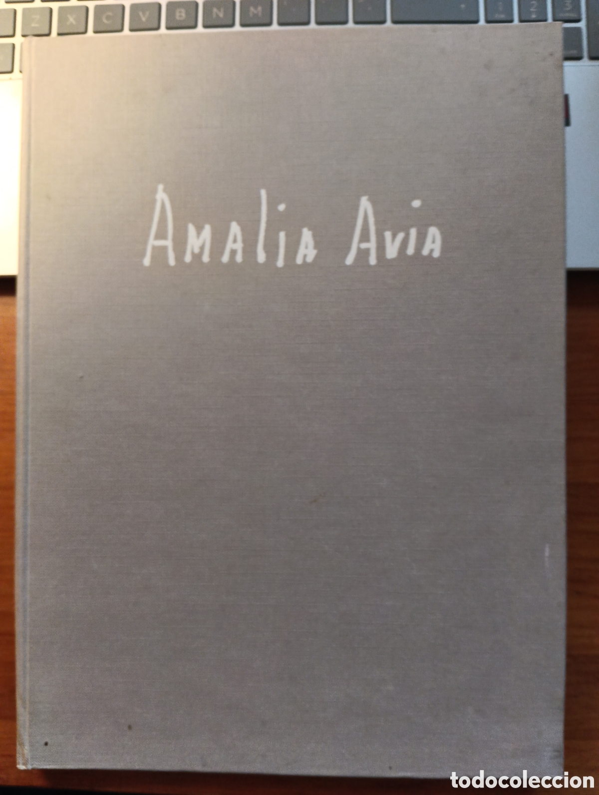 Libros de segunda mano: Amalia Avia, Maestros del Arte Espa&ntilde;ol contempor&aacute;neo