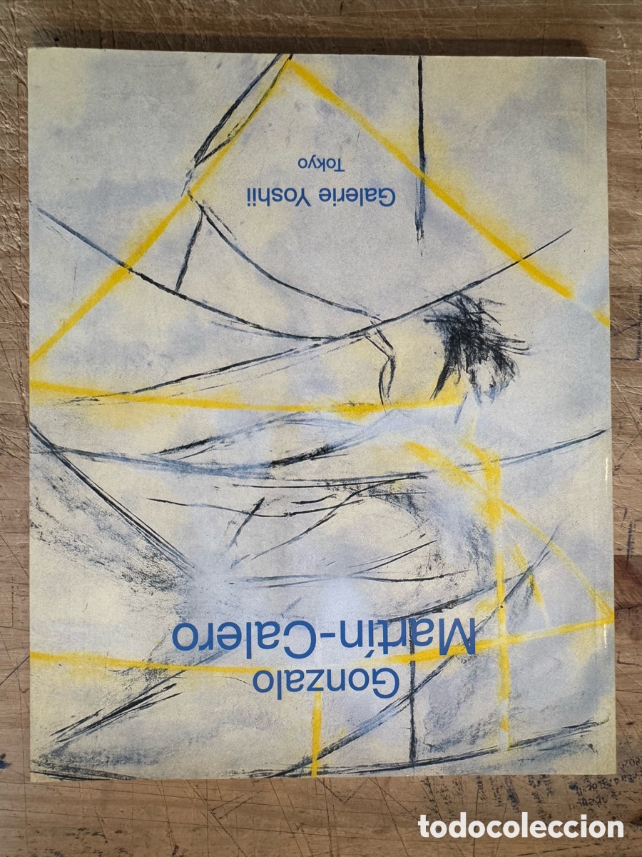Livres d'occasion: Gonzalo Mart&iacute;n-Calero. Peintures. Abad&iacute;a Mont-Saint-Michel, 2002-2003