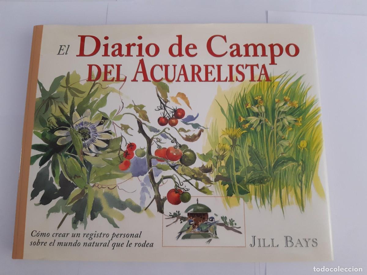 Libros de segunda mano: EL DIARIO DE CAMPO DEL ACUARELISTA. JILL BAYS / PINTURA ACUARELA