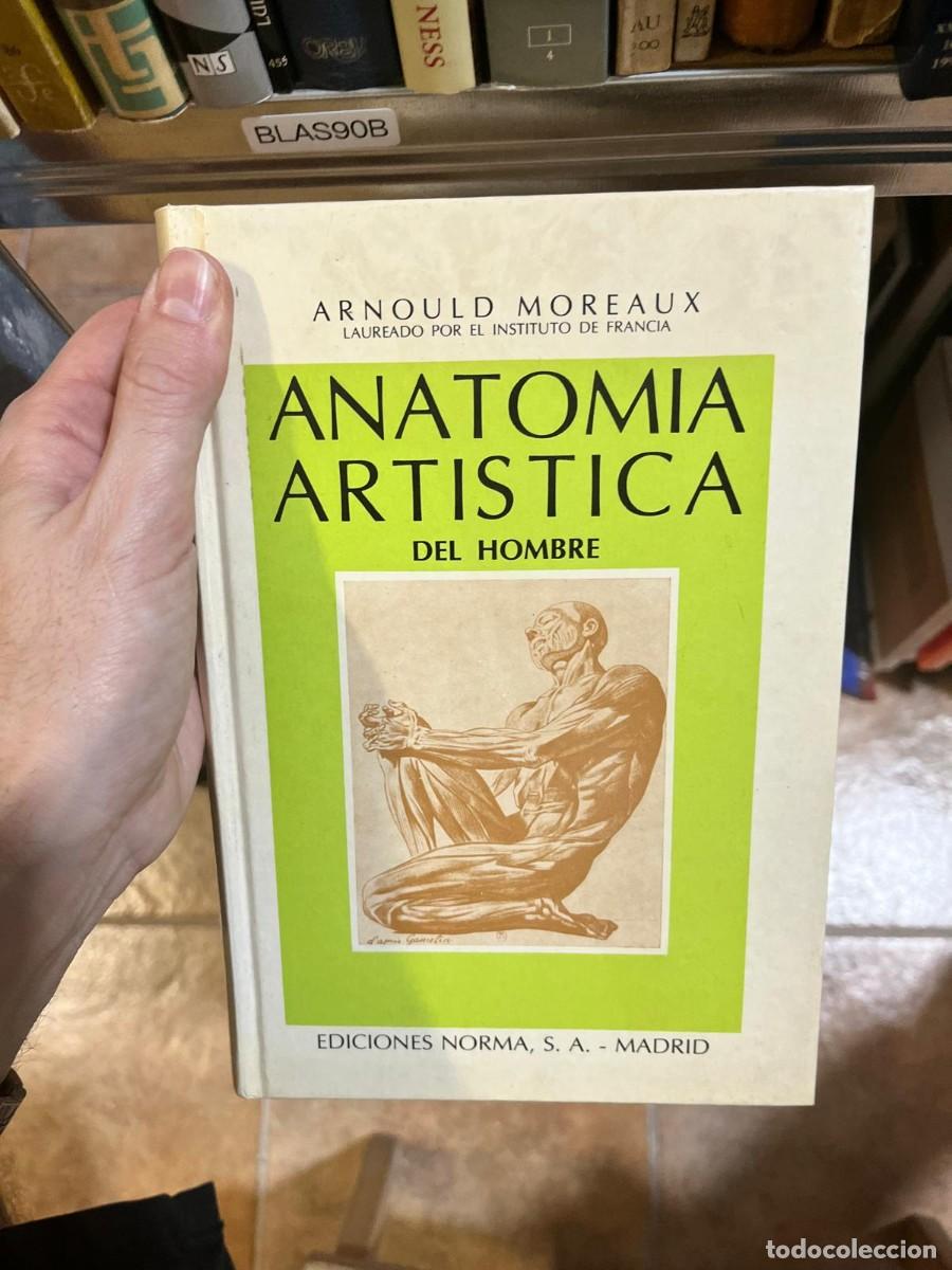 Libros de segunda mano: BLAS90B &ndash; Anatom&iacute;a art&iacute;stica del hombre &ndash; Arnould Moreaux &ndash; Ediciones Norma, S. A. (Madrid)