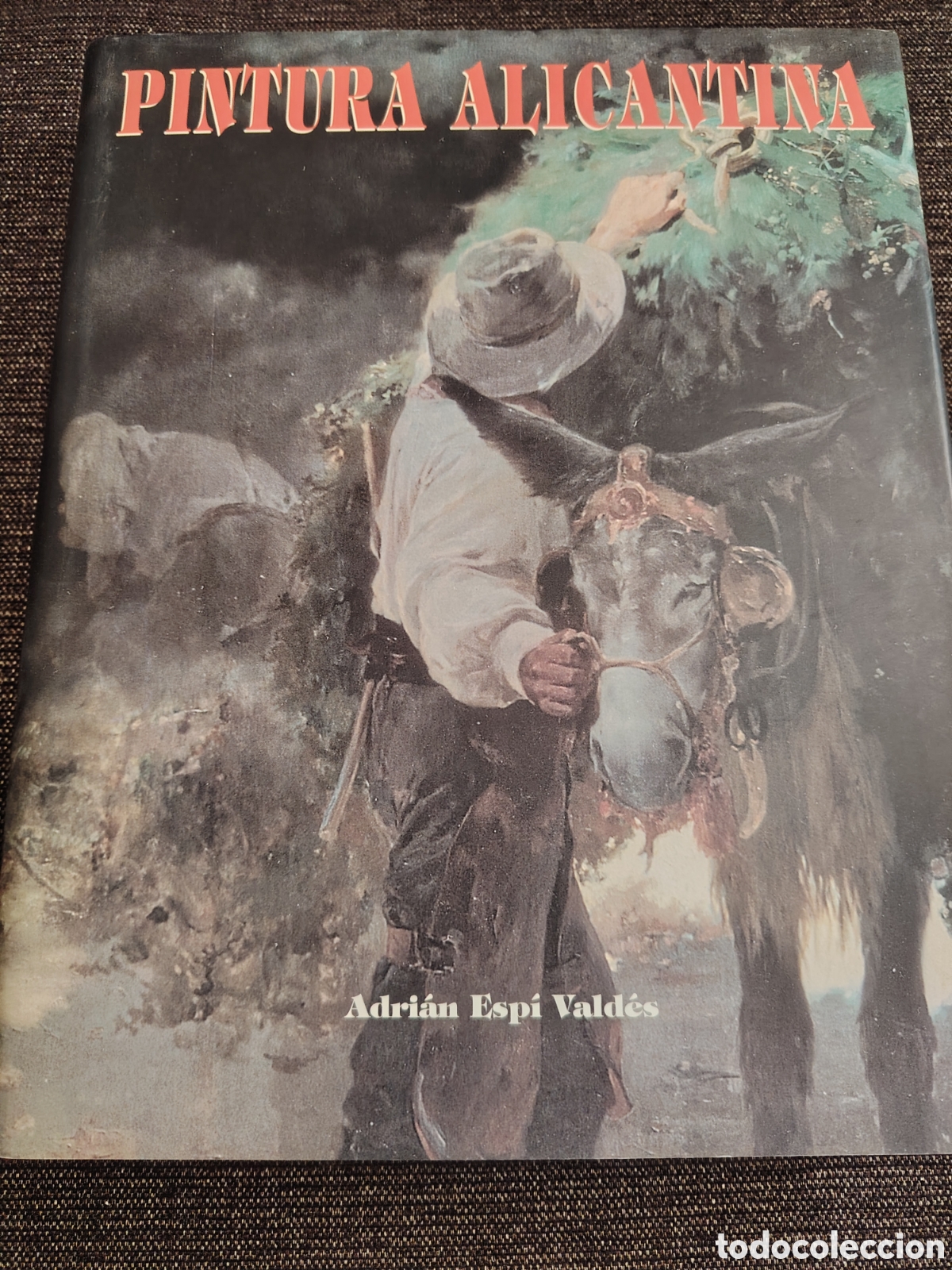 Libros de segunda mano: Pintura alicantina. Adri&aacute;n Esp&iacute; Vald&eacute;s