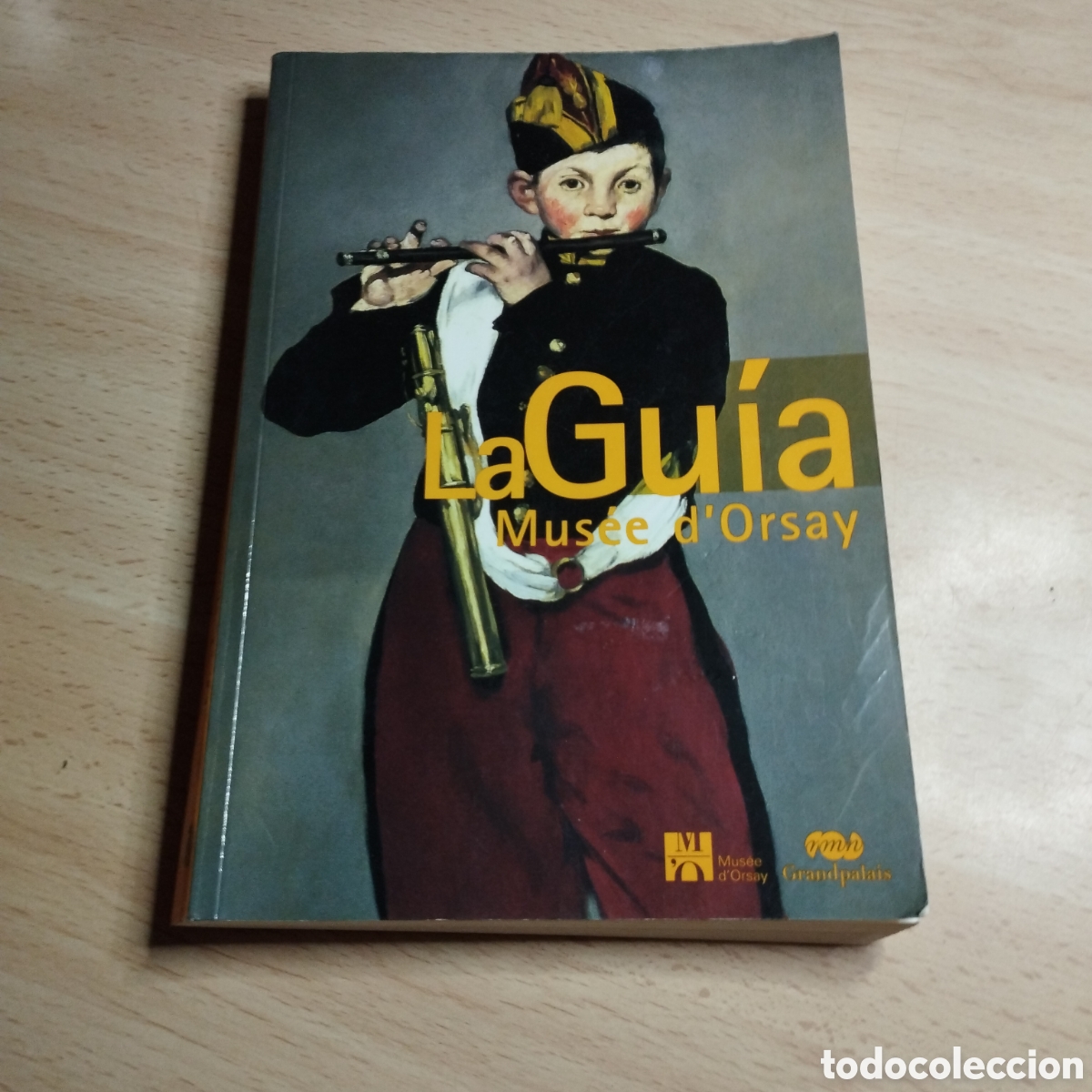 Libros de segunda mano: Mus&eacute;e d'Orsay. France. La gu&iacute;a. 2006. En castellano, color. Caroline Mathieu.