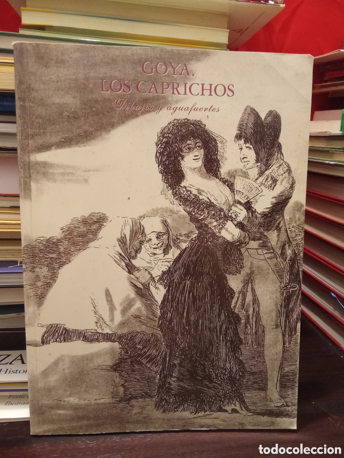 Libros de segunda mano: GOYA LOS CAPRICHOS - Dibujos y aguafuertes