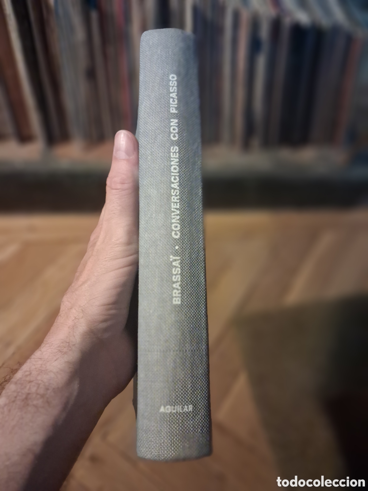 Libros de segunda mano: Conversaciones con Picasso, Brassai