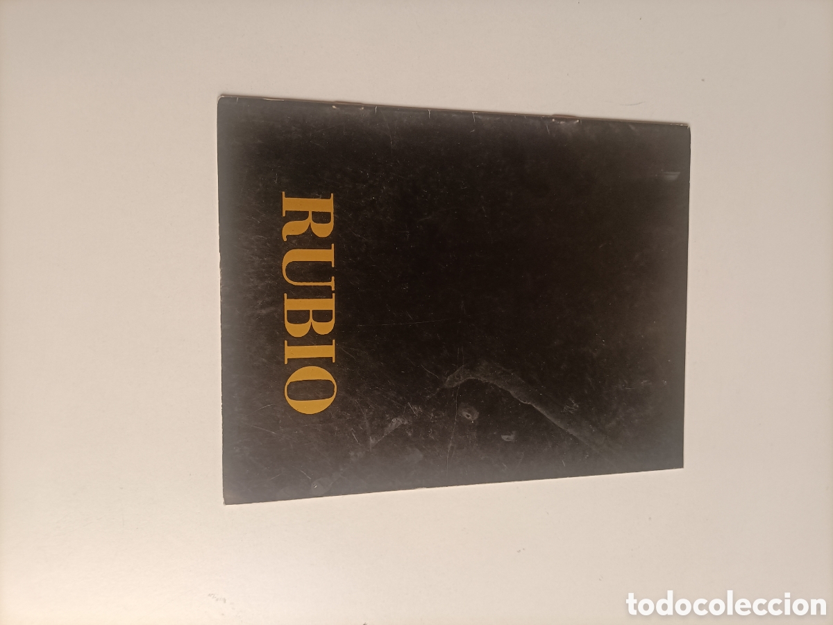Libros de segunda mano: Rubio. Galer&iacute;a de arte Sokoa Madrid 1985