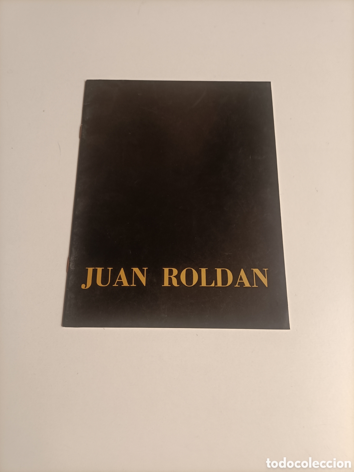 Libros de segunda mano: Juan Rold&aacute;n. Galer&iacute;a de arte socoa Madrid 1983