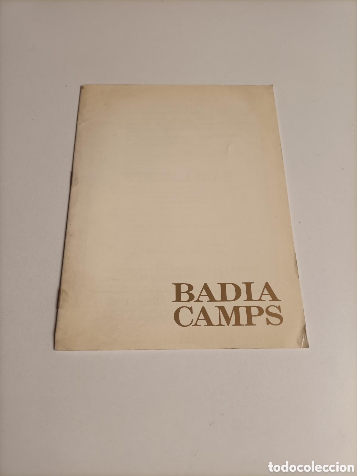Libros de segunda mano: Badia Camps. Galer&iacute;a de arte Sokoa Madrid 1986