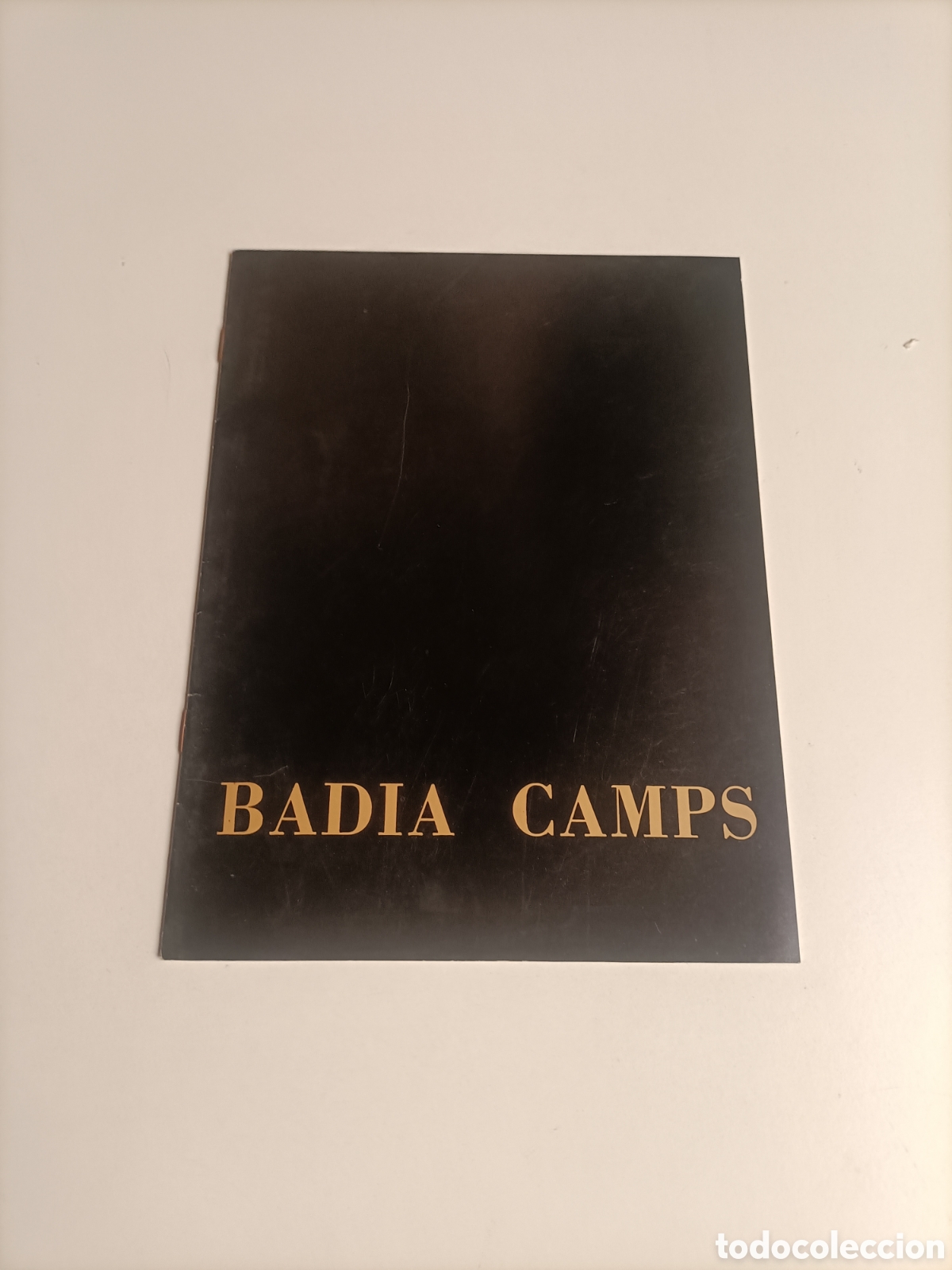 Libros de segunda mano: Badia Camps. Galer&iacute;a de arte Sokoa madrid-1984