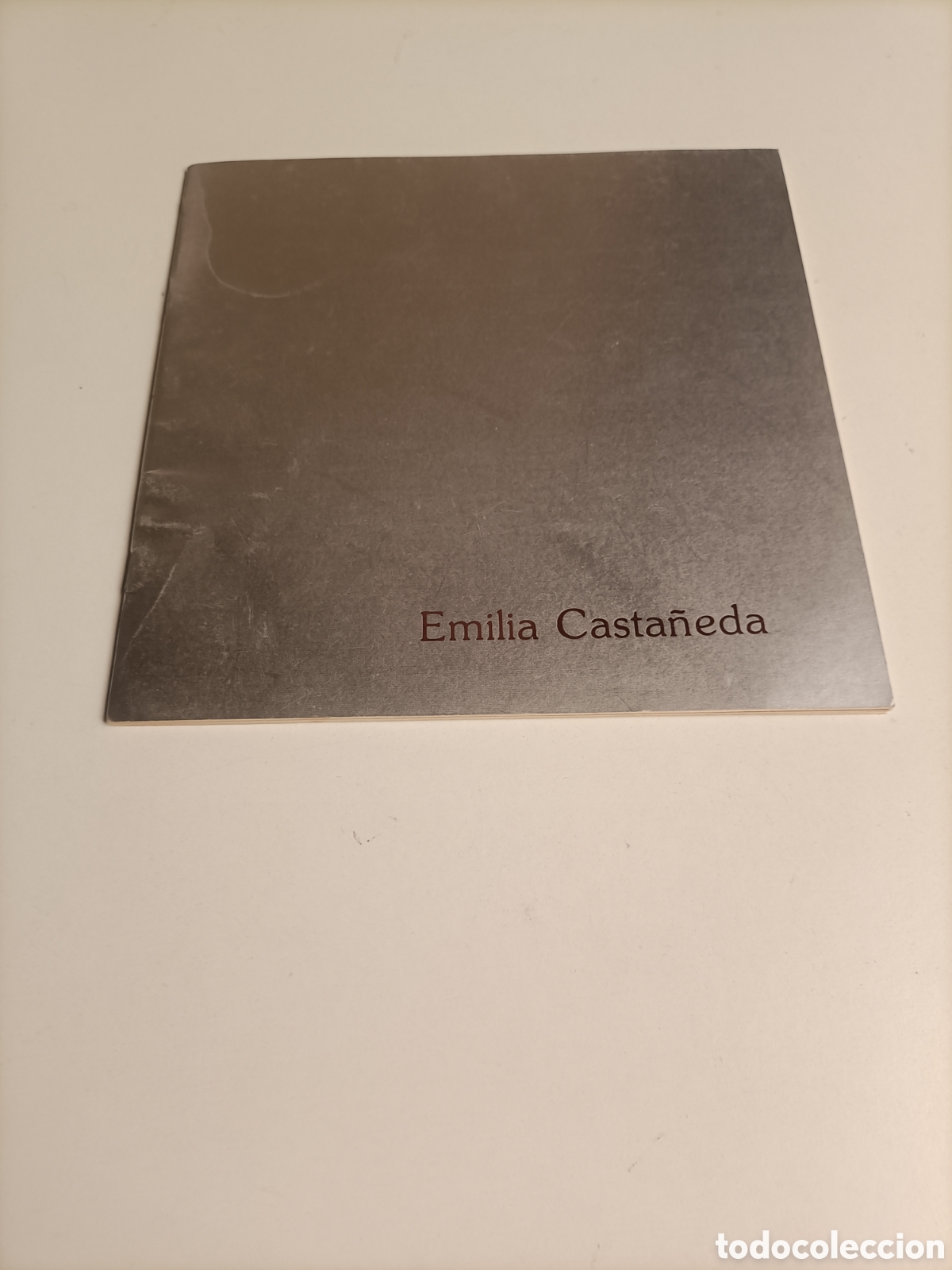 Libros de segunda mano: Emilia Casta&ntilde;eda. Galer&iacute;as sokoa Madrid 1987