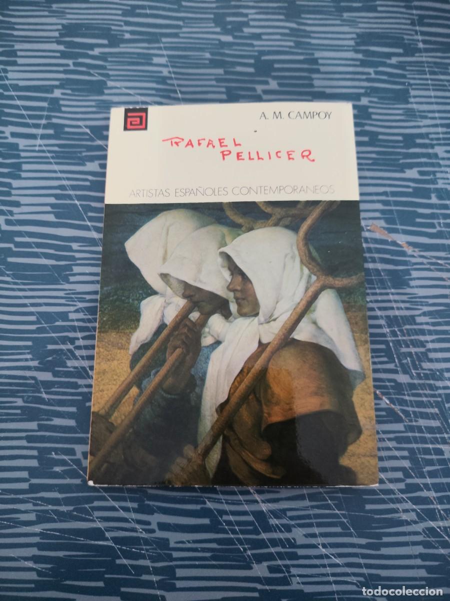 Libros de segunda mano: RAFAEL PELLICER,A.M.CAMPOY,1974,74 P&Aacute;GINAS,VER FOTOS.
