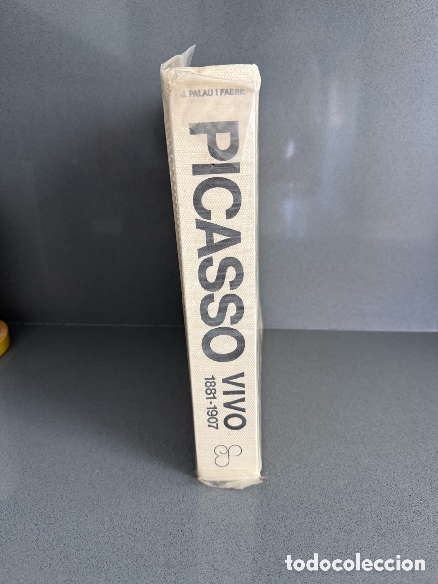Libros de segunda mano: PICASSO VIVO ( 1881 - 1907 ) - INFANCIA Y PRIMERA JUVENTUD DE UN DEMIURGO - POL&Iacute;GRAFA 1980 PINTURA