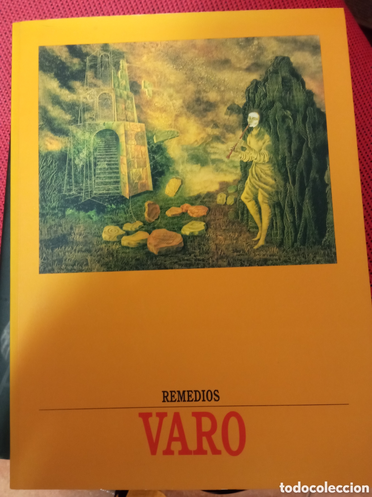 Libros de segunda mano: REMEDIOS VARO - CAT&Aacute;LOGO - FUNDACI&Oacute;N BANCO EXTERIOR - 1988