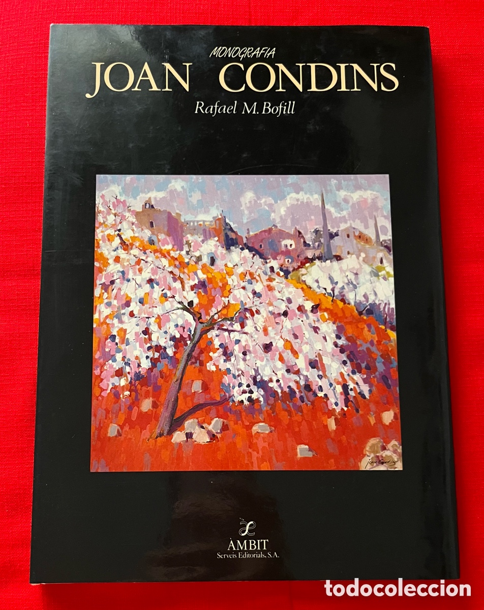Libros de segunda mano: Llibre Joan Condins - Monograf&iacute;a