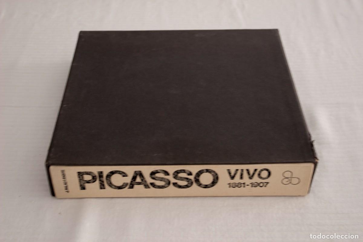 Libros de segunda mano: PICASO VIVO EDICIONES POLIGRAFA