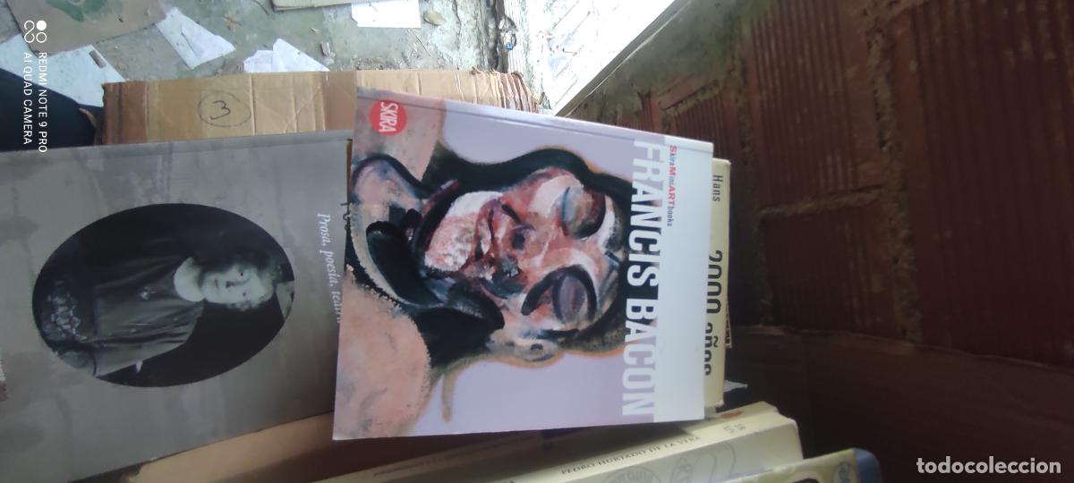 Libros de segunda mano: Francis Bacon. Skira,