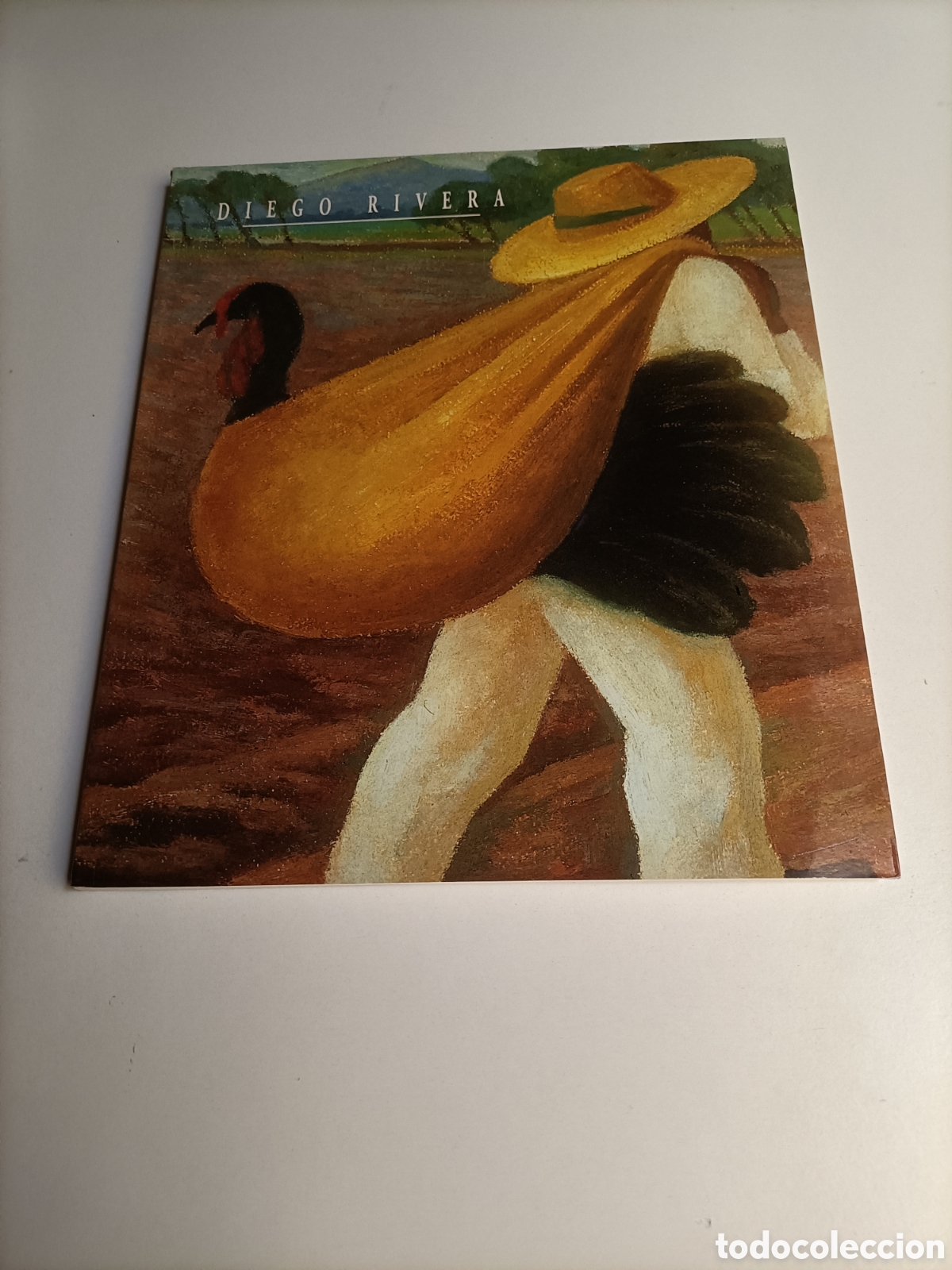 Libros de segunda mano: Diego Rivera. Museo de Pontevedra 2004 - Foto 2