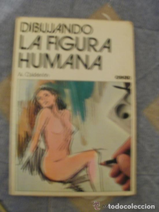Libros de segunda mano: DIBUJANDO LA FIGURA HUMANA