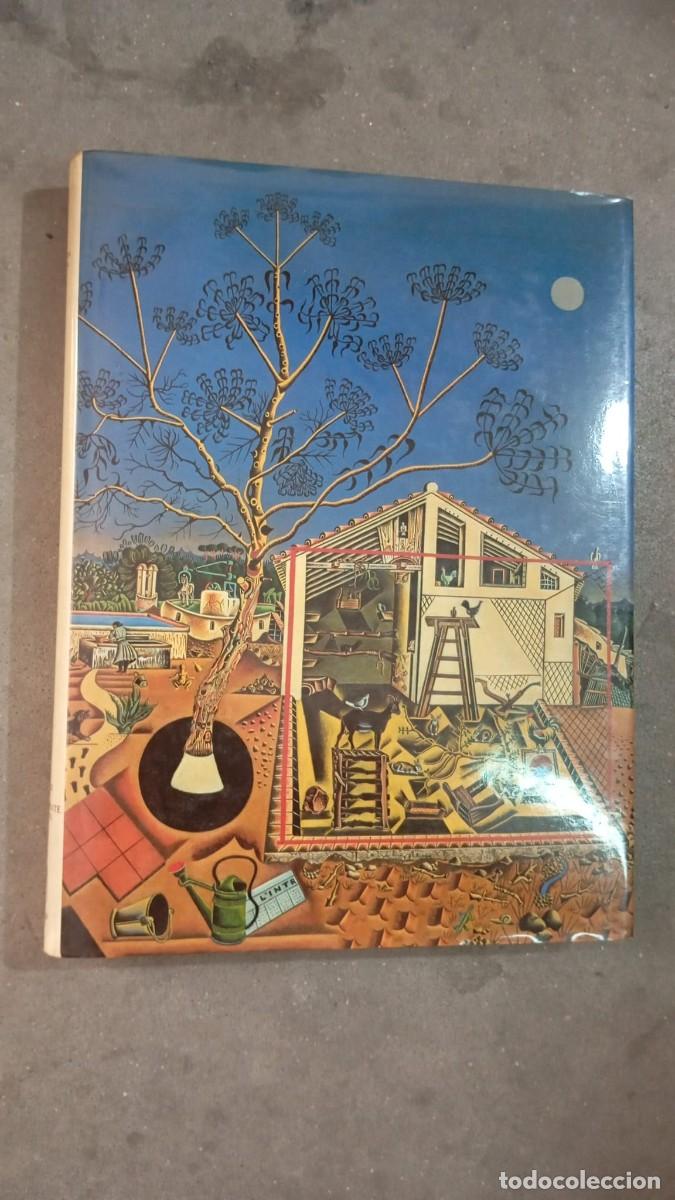 Libros de segunda mano: La pintura catalana. Del siglo XIX al sorprendente siglo XX -Skira-
