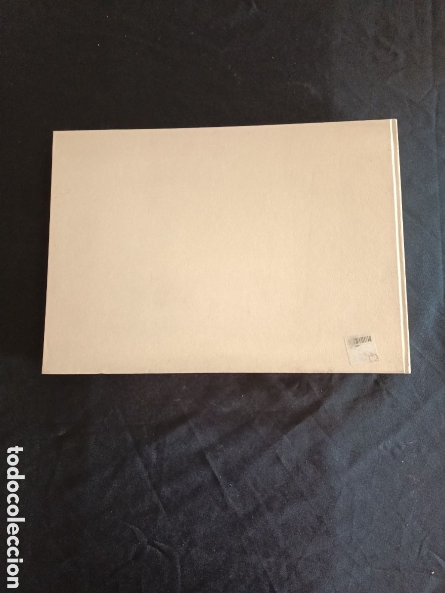 Libros de segunda mano: Libro los delirios de Goya - Foto 2