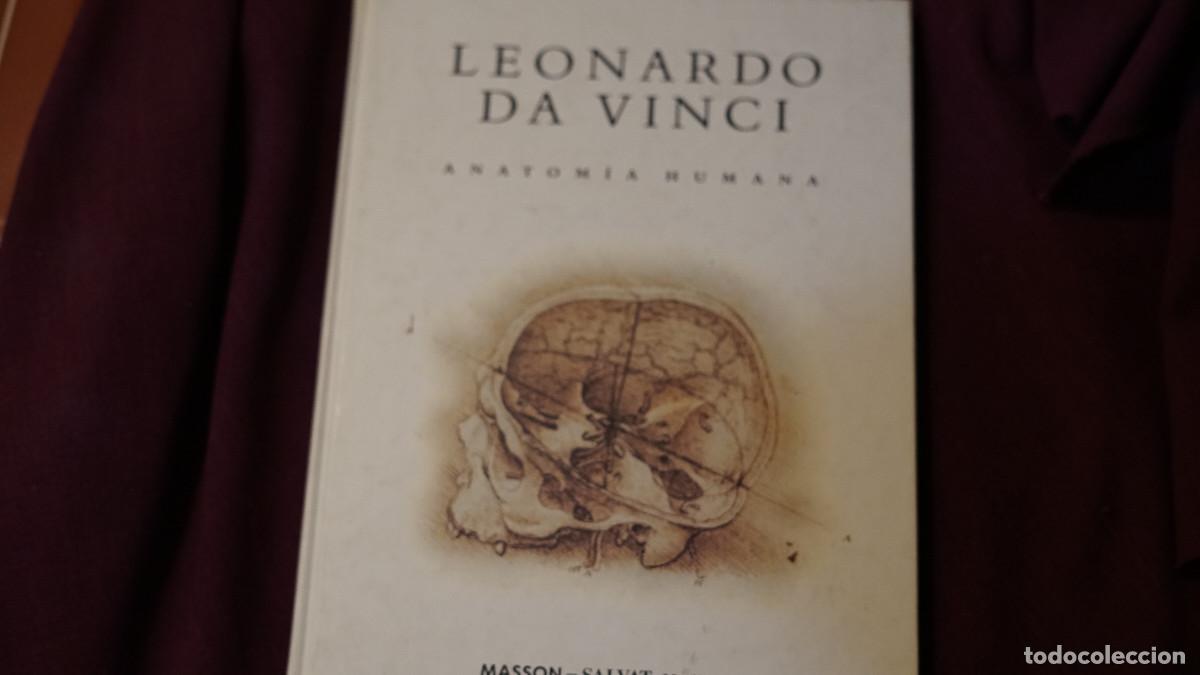 Libros de segunda mano: Leonardo Da Vinci - Anatom&iacute;a humana - Masson Salvat 1992