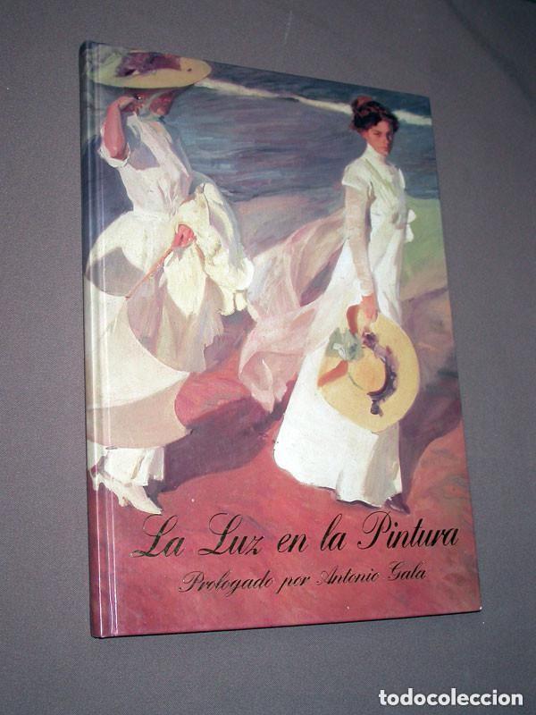 Libros de segunda mano: LA LUZ EN LA PINTURA. MART&Iacute;NEZ-NOVILLO / TIRADO. Pr&oacute;logo Antonio GALA. Carroggio, 1998. VER +++