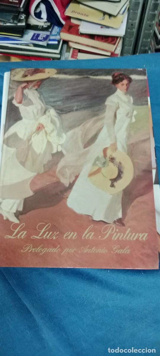 Libros de segunda mano: LA LUZ EN LA PINTURA. PROLOGADO POR ANTONIO GALA LIBRO CU