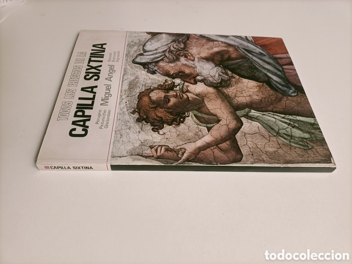Libros de segunda mano: Todos los frescos de la capilla sixtina. Miguel &Aacute;ngel Perugino roselli pintura antigua