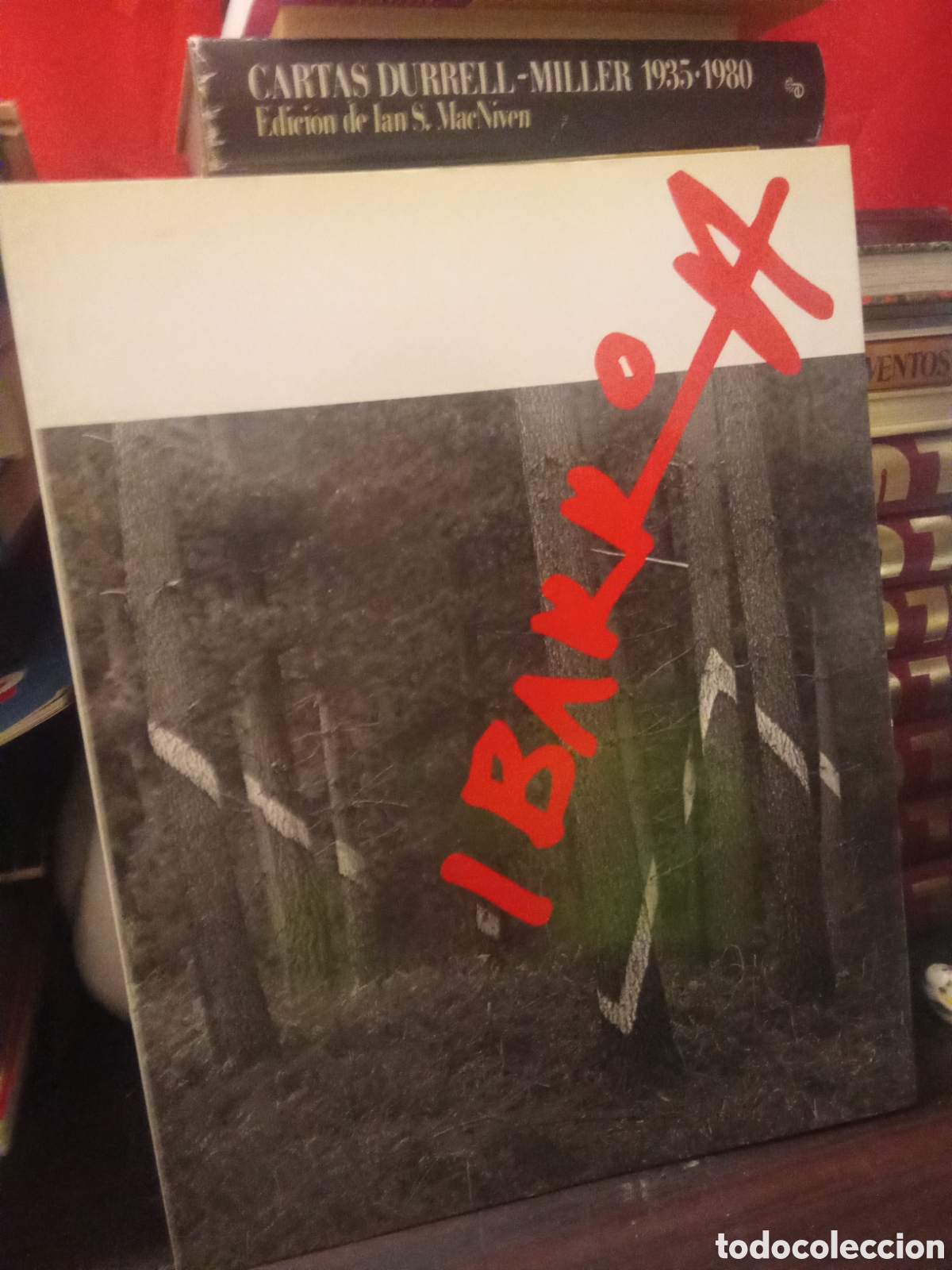 Libros de segunda mano: AGUST&Iacute;N IBARROLA - Lonja Parque Pignatelli 1987 - TIRADA 1.000 EJEMPLARES