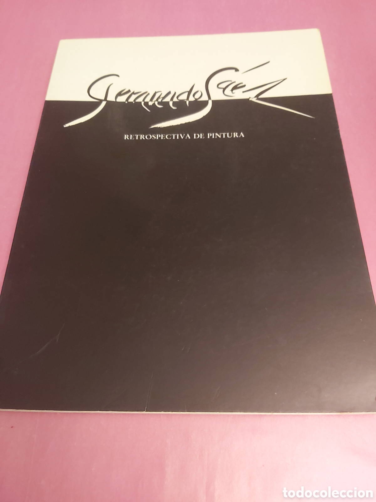 Libros de segunda mano: FERNANDO SAEZ RETROSPECTIVA DE PINTURA CAJA SEGOVIA 1993