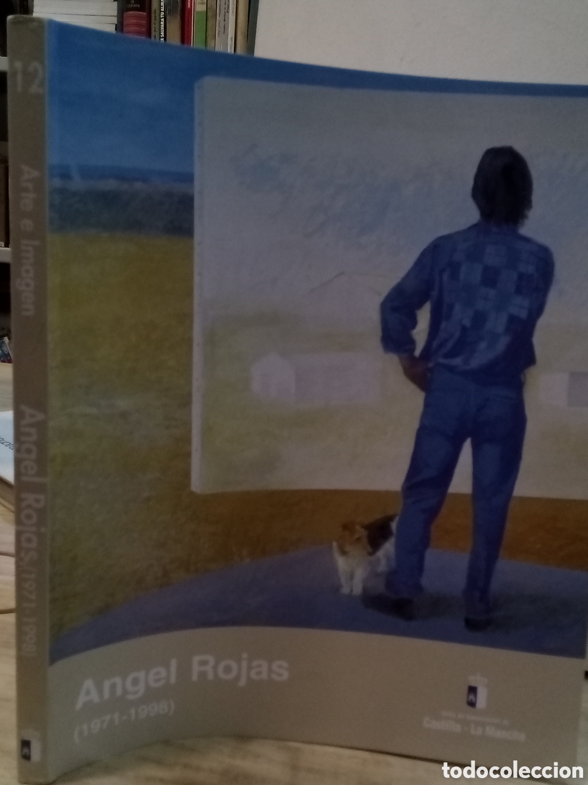 Second hand books: Arte e Imagen N&deg;12. &Aacute;ngel Rojas(1971-1998)