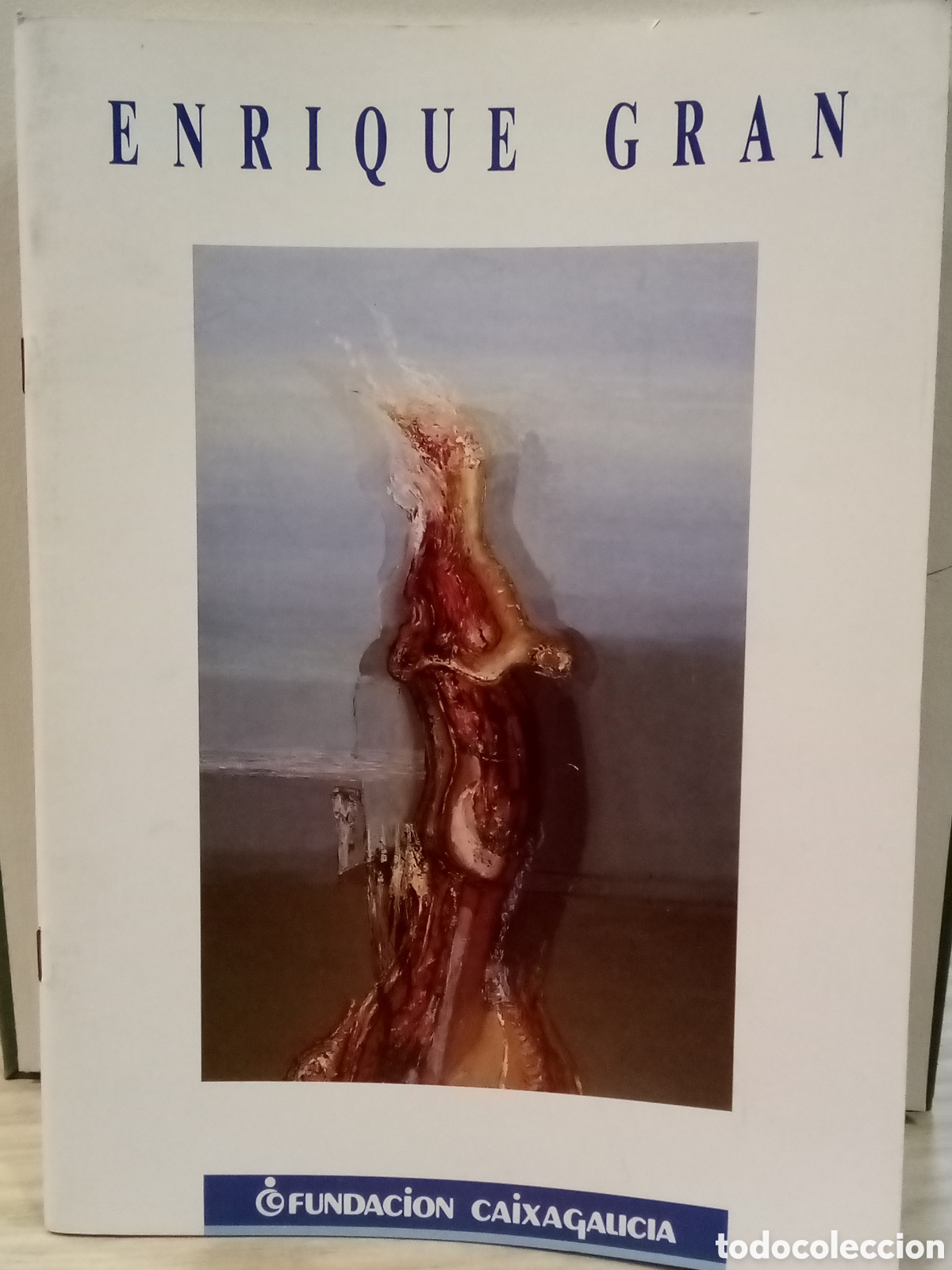Libri di seconda mano: Enrique Gran. Fundaci&oacute;n caixagalica