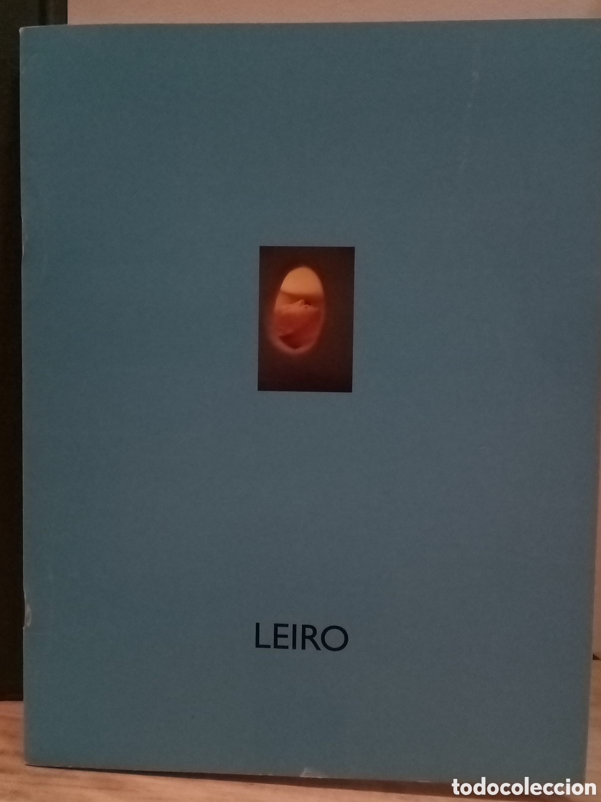 Libros de segunda mano: Leiro. Del 19 de septiembre al 19de octubre de 1996