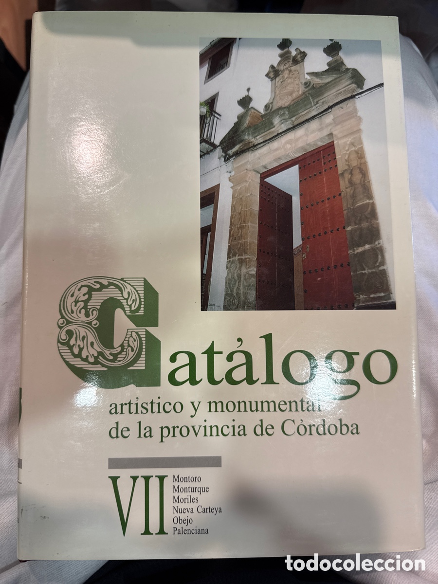 Livres d'occasion: CAT&Aacute;LOGO art&iacute;stico y monumental de la provincia de C&oacute;rdoba