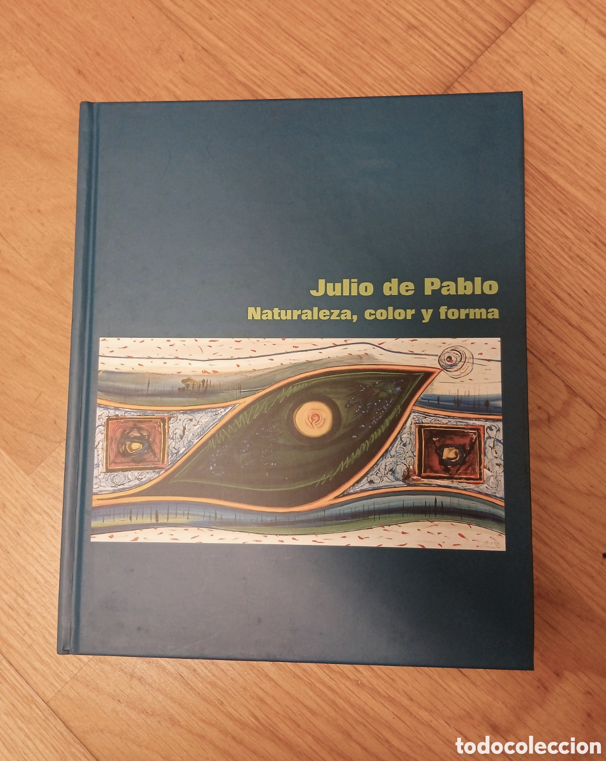Libros de segunda mano: Cat&aacute;logo de Arte: Julio de Pablo - Naturaleza, color y forma. Galer&iacute;a El Cantil / Ayto. Camargo.