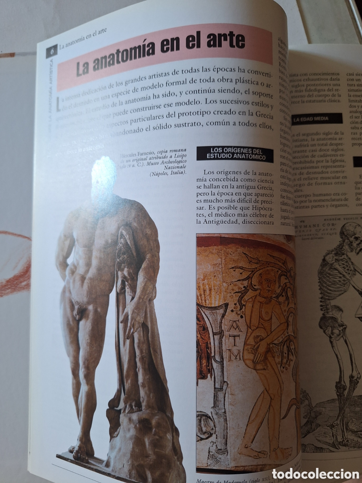 Libros de segunda mano: Todo sobre la Anatom&iacute;a Art&iacute;stica - Foto 3