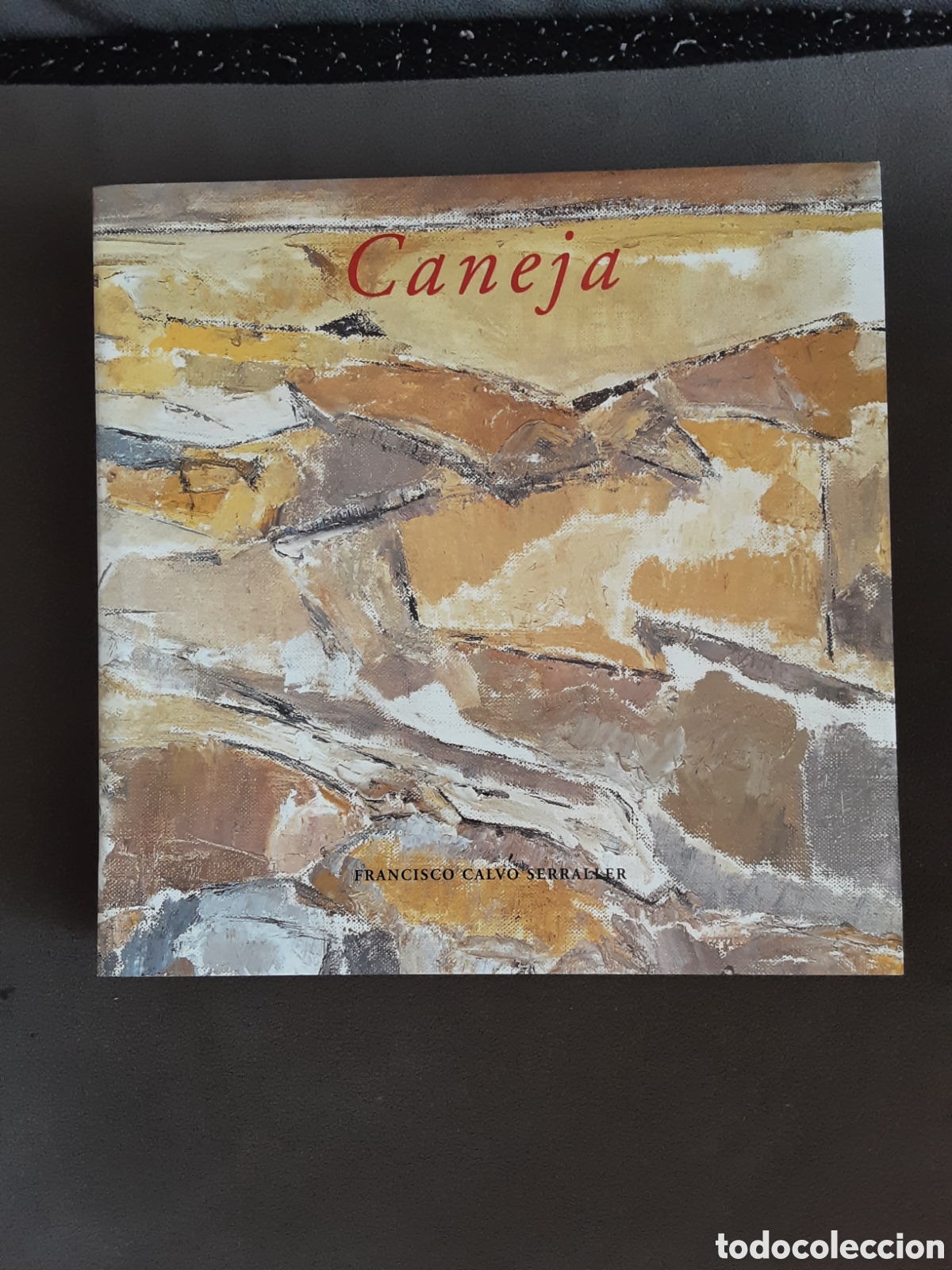 Libros de segunda mano: CANEJA POR FRANCISCO CALVO SERRALLER 2003 ARTE MUY BUEN ESTADO CON SU ESTUCHE