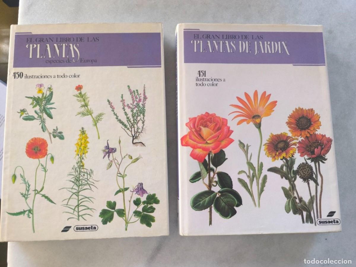 Libros de segunda mano: PAREJA DE LIBROS DE LAS PLANTAS DE JARDIN, ESPECIES DE EUROPA, EDITORIAL SUSAETA