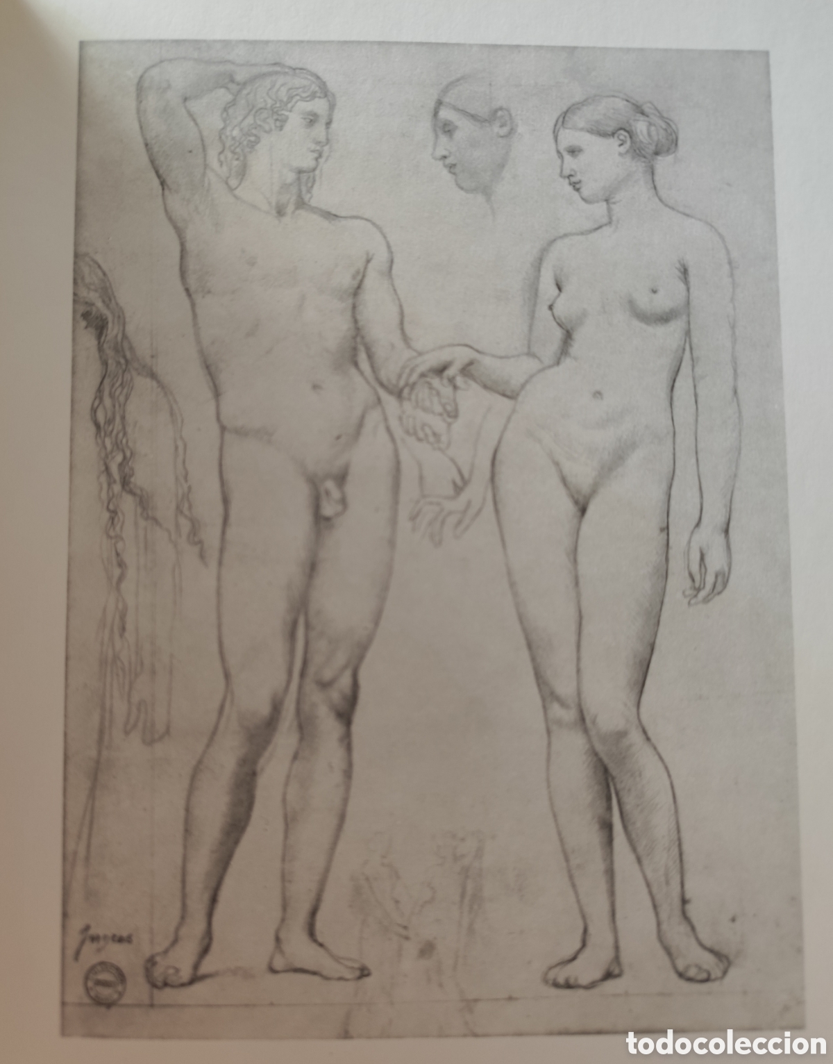 Libros de segunda mano: INGRES Dibujos BOHUMIR MRAZ - Foto 7