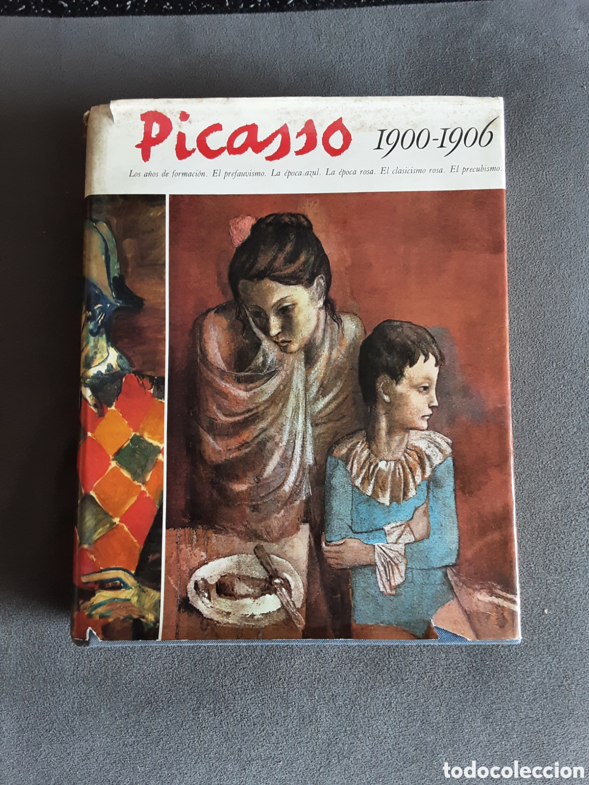 Libros de segunda mano: PICASSO 1900 - 1906 BLUME NAUTA 1967 ARTE