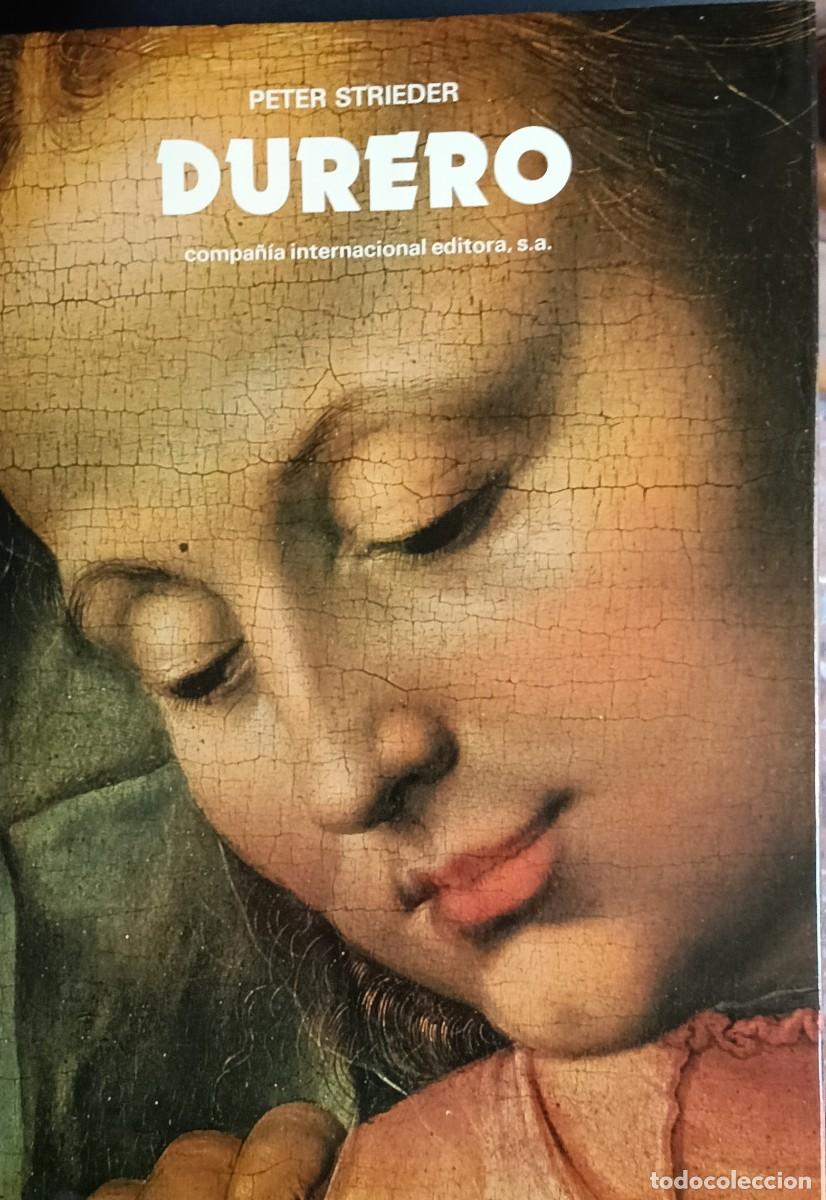 Libros de segunda mano: Peter Strieder, Durero / Compa&ntilde;&iacute;a Internacional Editora
