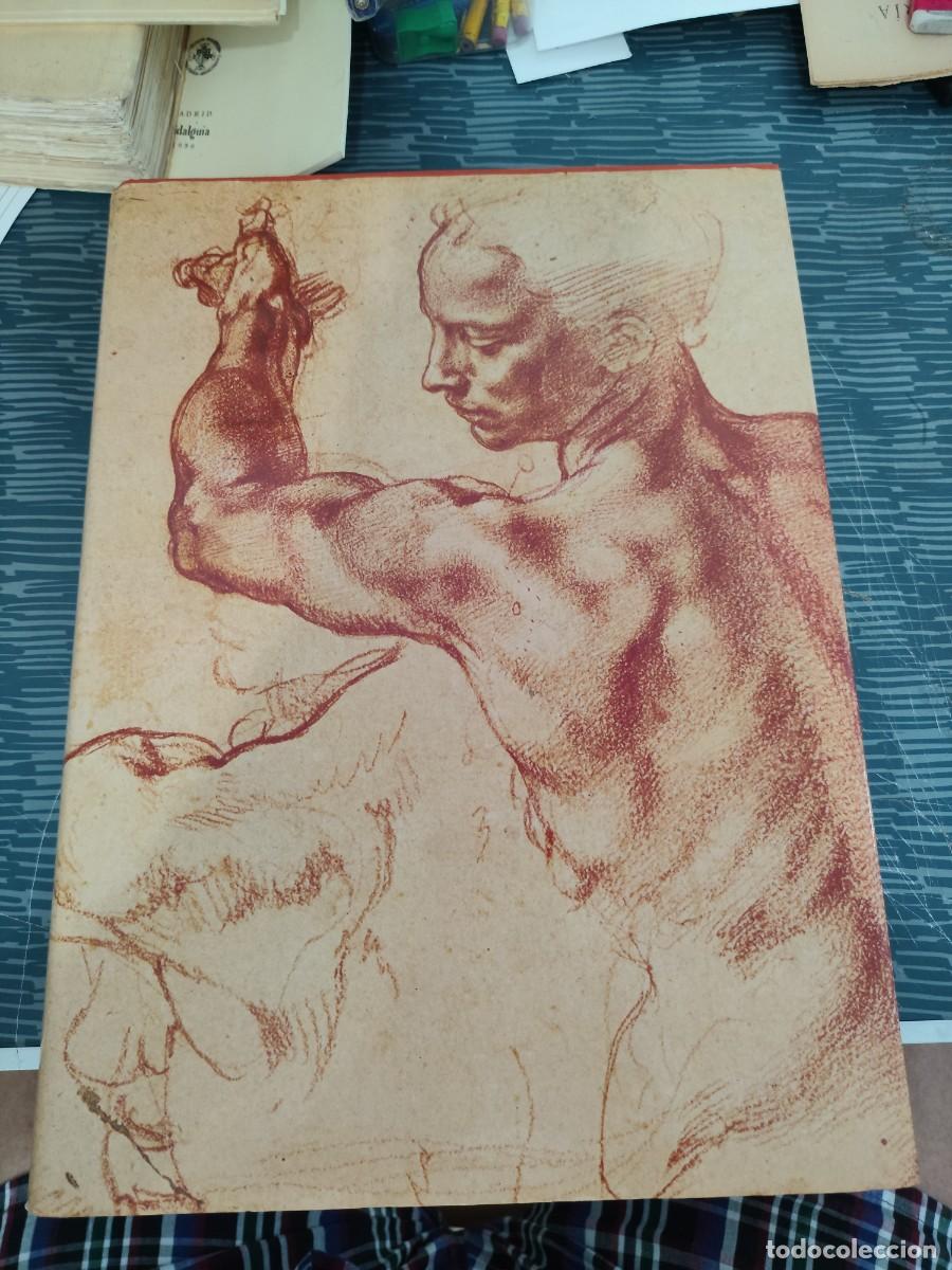 Libros de segunda mano: EL DIBUJO,JEAN LEYMARIE,GENEVIEVE MONNIER,BERNICE ROSE,SKIRA EDITORIAL,1979,VER FOTOS.