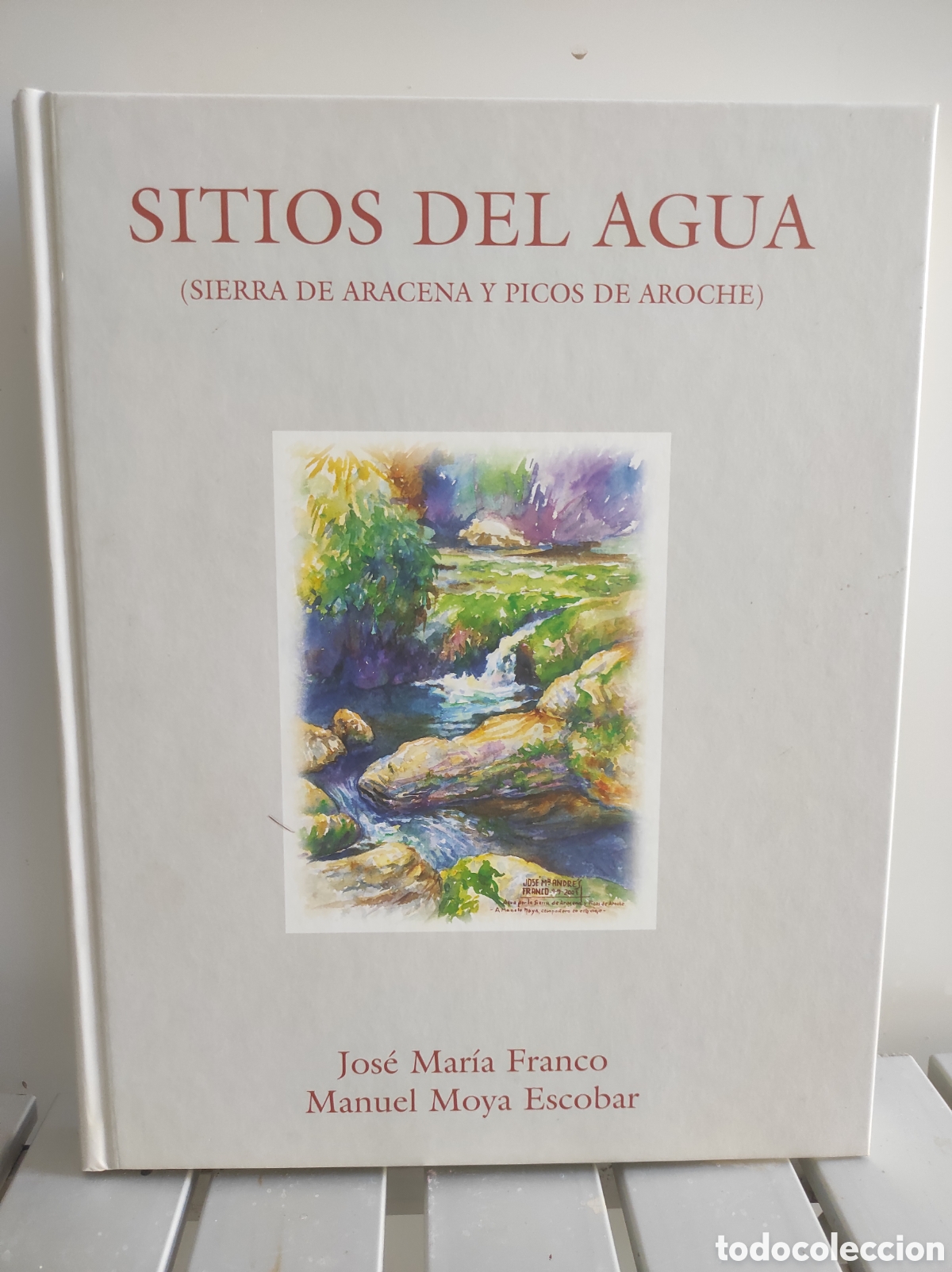 Libros de segunda mano: SITIOS DEL AGUA (SIERRA DE ARACENA Y PICOS DE AROCHE) - JOS&Eacute; M&ordf; FRANCO/M. MOYA ESCOBAR - HUELVA 2001