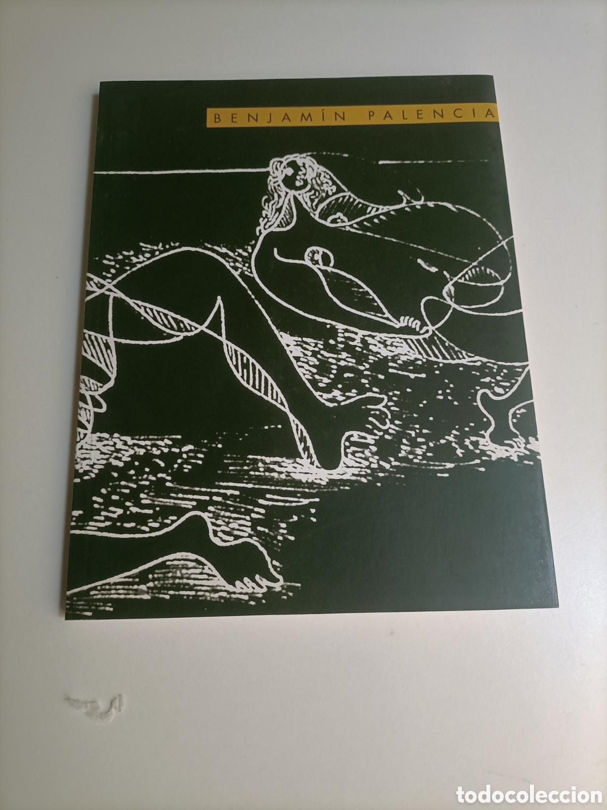 Libros de segunda mano: Benjam&iacute;n Palencia. Sala Retiro Madrid a&ntilde;o 2000...