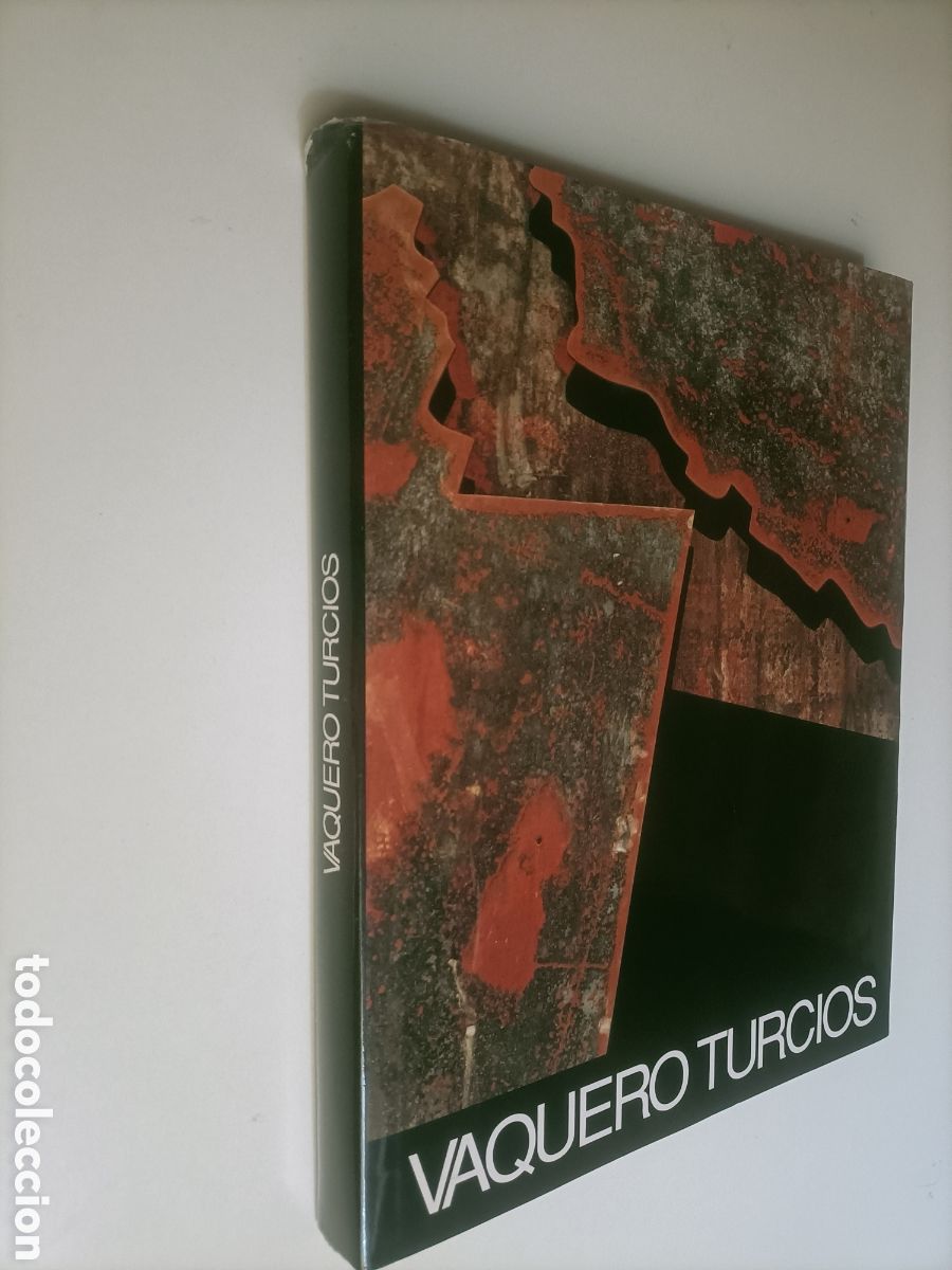 Libros de segunda mano: Vaquero Turcios. Centro de Arte moderno ciudad de Oviedo 1996